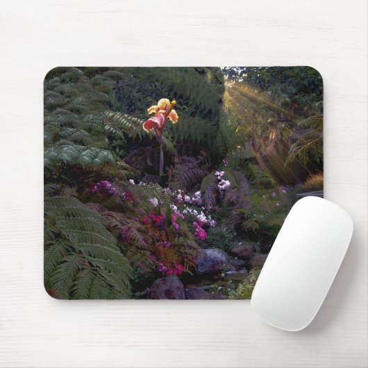 Schönes Landschaftmousepad Mousepad (Mit Mouse)