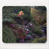 Schönes Landschaftmousepad Mousepad (Vorne)