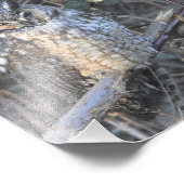 Schönes, langgezogenes Schüssel bei Sonnenuntergan Fotodruck (Ecke)