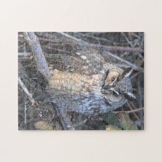 Schönes, langgezogenes Schüssel bei Sonnenuntergan Puzzle (Horizontal)