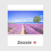 Schönes Lavendelfeld in der Provence Aufkleber (Blatt)
