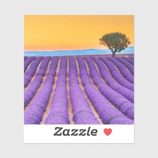 Schönes Lavendelfeld in der Provence Aufkleber (Blatt)