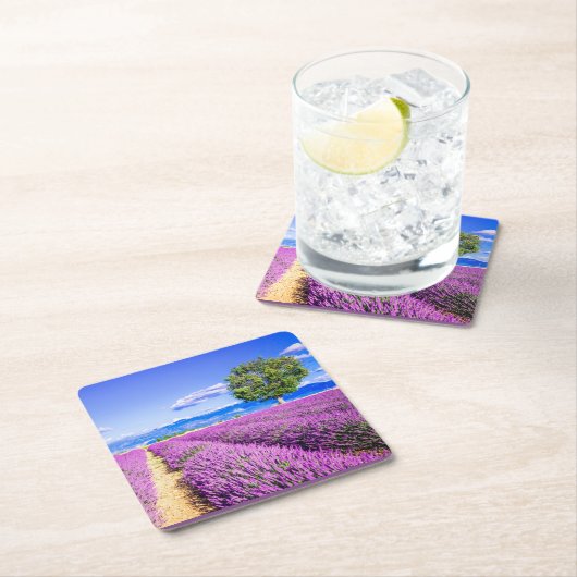 Schönes Lavendelfeld in der Provence, Frankreich Rechteckiger Pappuntersetzer (Vor Ort)