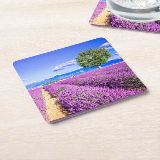 Schönes Lavendelfeld in der Provence, Frankreich Rechteckiger Pappuntersetzer (angewinkelt)