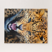 Schönes Leopard Nah-up, Jigsaw Puzzle (Horizontal)