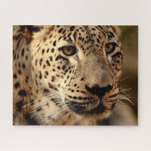 Schönes Leopard Portrait, Jigsaw Puzzle