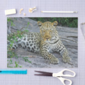 schönes Leopardenpapier Seidenpapier (Handwerk)