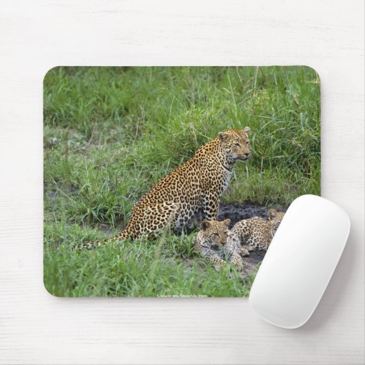schönes Leopardjunges Mousepad (Mit Mouse)