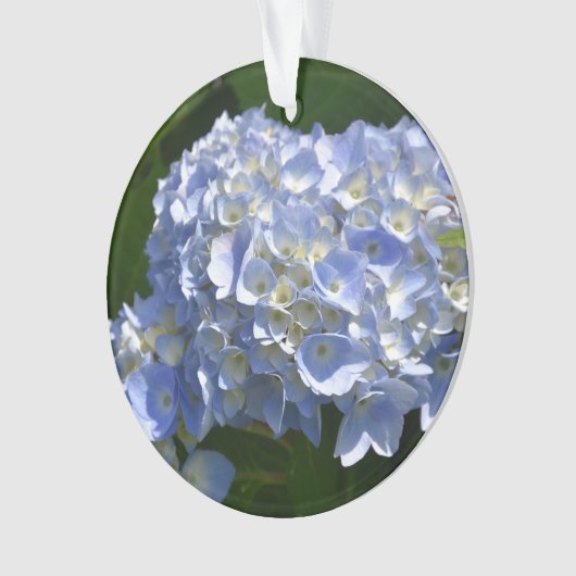 Schönes Licht blühendes Hydrangea Bush Ornament (Vorderseite)