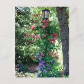 Schönes Licht Postkarte (Vorderseite)