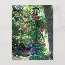 Schönes Licht Postkarte