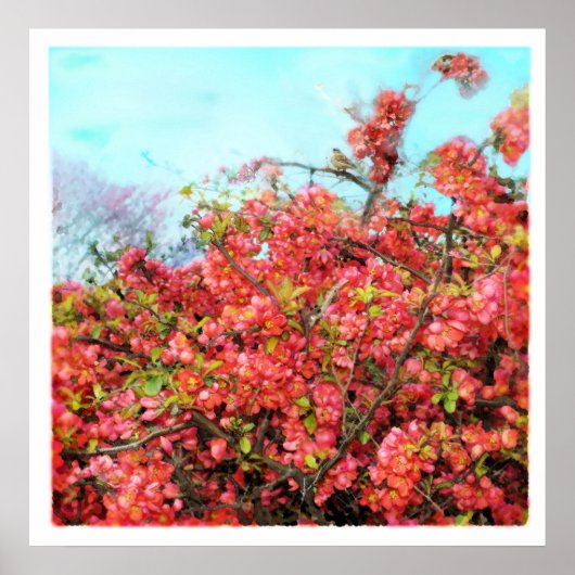 Schönes Lied, Poster (Vorne)