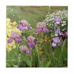 Schönes Lila Iris Blume Blumenstrauß Foto Fliese
