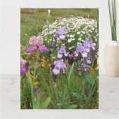 Schönes Lila Iris Blume Blumenstrauß Foto Karte (Rückseite)