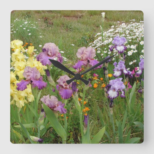 Schönes Lila Iris Blume Blumenstrauß Foto Quadratische Wanduhr (Vorderseite)
