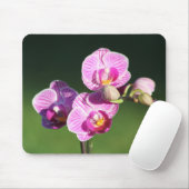 Schönes Lila und rosa Orchid Mousepad (Mit Mouse)
