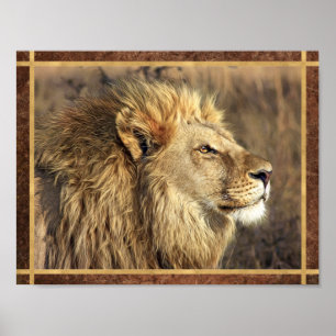 Schönes Lion Foto Poster