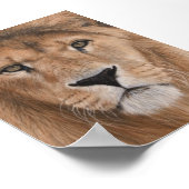Schönes Lion Head Poster (Ecke)
