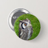 Schönes Little Owl Button (Vorne & Hinten)