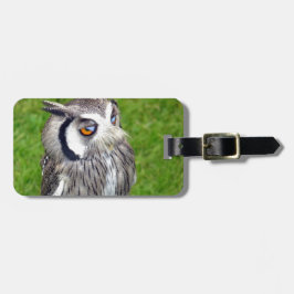 Schönes Little Owl Gepäckanhänger