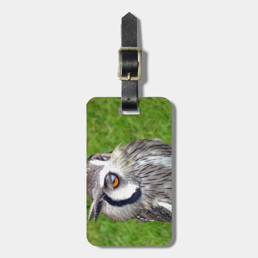 Schönes Little Owl Gepäckanhänger (Vorderseite vertikal)