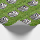 Schönes Little Owl Geschenkpapier (Ecke)