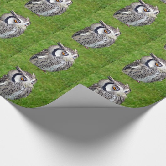 Schönes Little Owl Geschenkpapier (Ecke)
