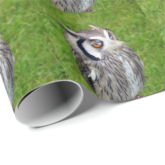 Schönes Little Owl Geschenkpapier (Rolleneckpunkt)