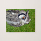 Schönes Little Owl Puzzle (Horizontal)