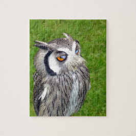 Schönes Little Owl Puzzle