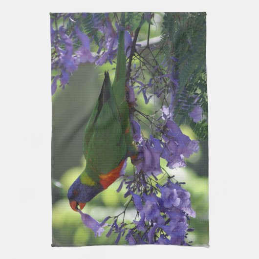 schönes Lorikeet Geschirrtuch (Vertikal)