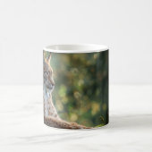 Schönes Luchs auf einem Felsen Kaffeetasse (Mittel)
