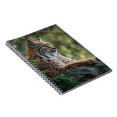 Schönes Luchs auf einem Felsen Notizblock (Rechte Seite)