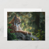 Schönes Luchs auf einem Felsen Postkarte (Vorne/Hinten)