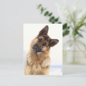 Schönes lustiges deutsches Hirtenportrait Postkarte (Stehend Vorderseite)