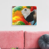 Schönes Macaw Leinwanddruck (Insitu (Wohnzimmer))