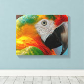 Schönes Macaw Leinwanddruck (Insitu (Holzboden))