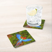Schönes Macaw Untersetzer Set (Vor Ort)