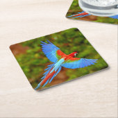 Schönes Macaw Untersetzer Set (angewinkelt)