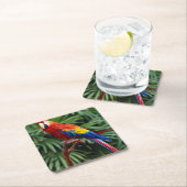 Schönes Macaw Untersetzer Set (Vor Ort)