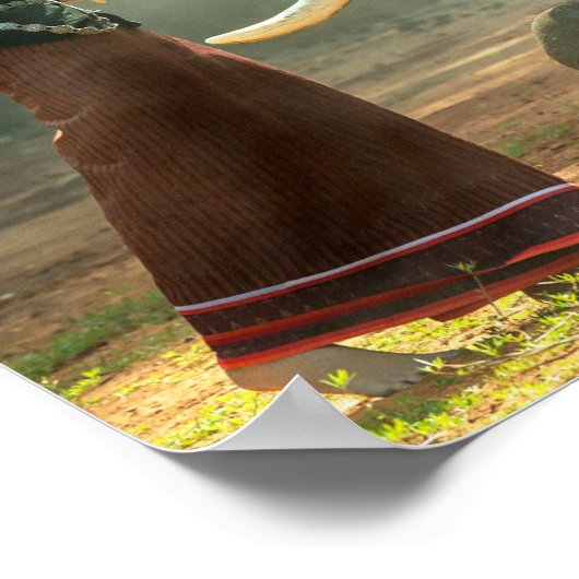 Schönes Mädchen mit ihrem Elephant Foto Poster (Ecke)