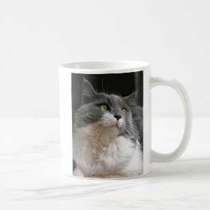 Schönes Maddie Kaffeetasse