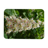 Schönes Magnet der Blume 3 "x4" (Horizontal)