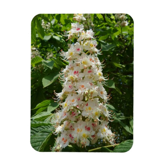 Schönes Magnet der Blume 3 "x4" (Vertikal)