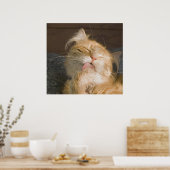 Schönes Maine Coon Cat Preening Foto Poster (Küche)