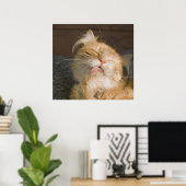 Schönes Maine Coon Cat Preening Foto Poster (Heimbüro)