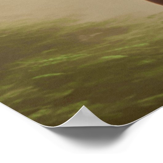 Schönes majestätisches Pferd Poster (Ecke)