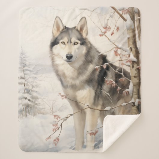 Schönes Malamute Sherpadecke (Vorderseite)