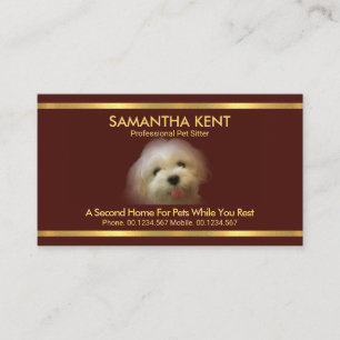 Schönes Malteser Hund Red Gold Streifen Pet Sitte Visitenkarte
