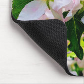 Schönes Malus asiatica Foto Mousepad (Ecke)